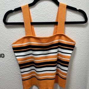 Jon & Anna Orange and Black Striped Crop Top